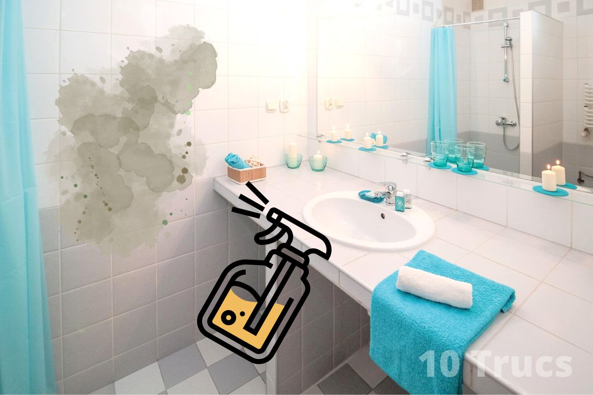 Astuces pour nettoyer la moisissure dans la salle de bain