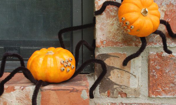 spider pumpkin, halloween pumpkin decoration, halloween spider, 