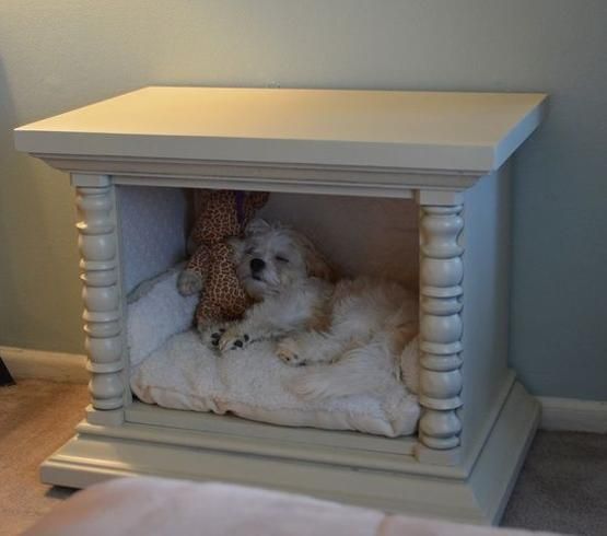Vieux meuble en bois en lit pour chien
