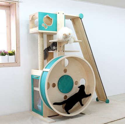 games for cats, cat trees games, 