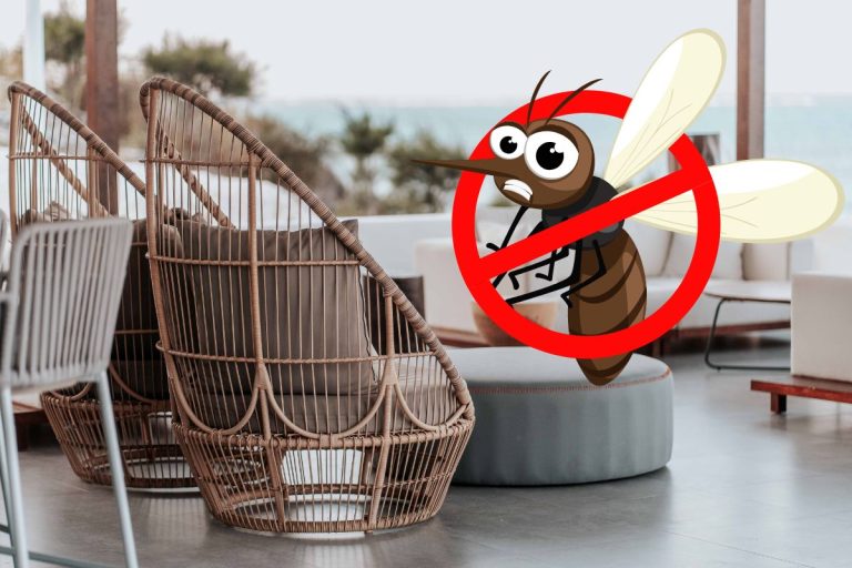 Éloigner les moustiques de la terrasse avec ces trucs anti moustique naturel