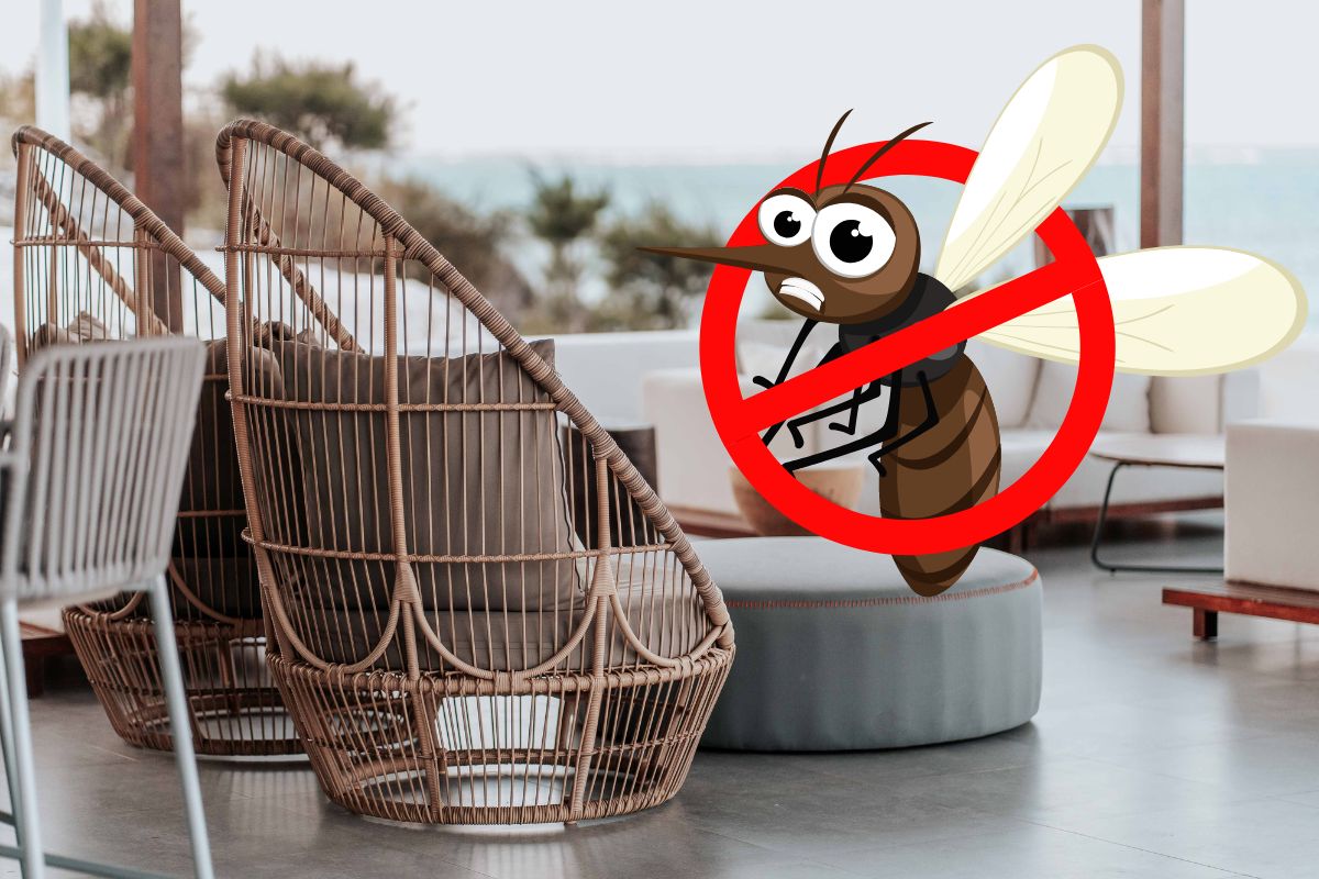 Éloigner les moustiques de la terrasse avec ces trucs anti moustique naturel