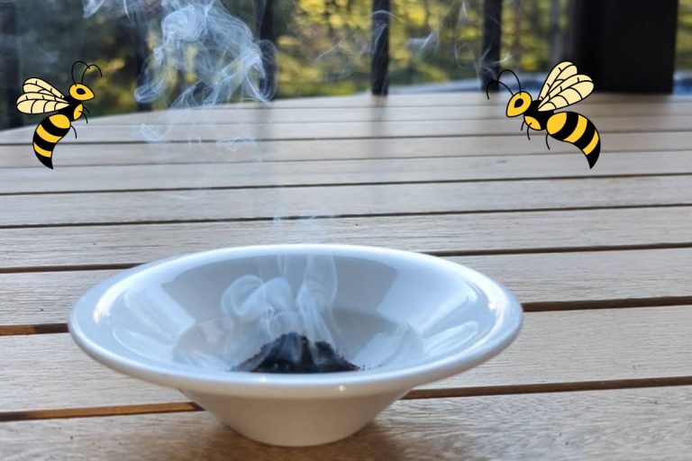 Faire brûler du marc de café contre les guêpes