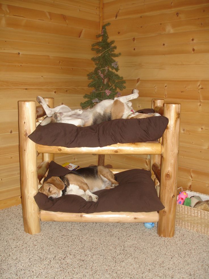 Bunk bed for dog