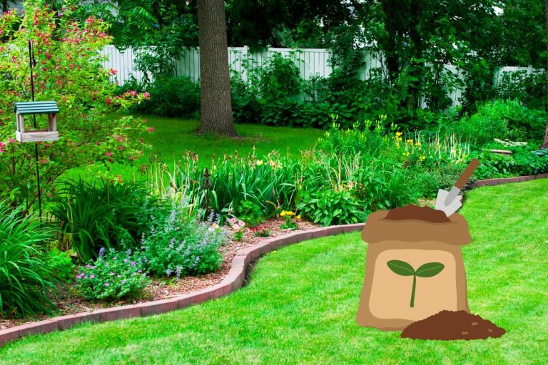 Engrais naturel pour gazon et plante fait maison