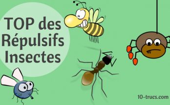 répulsif insectes