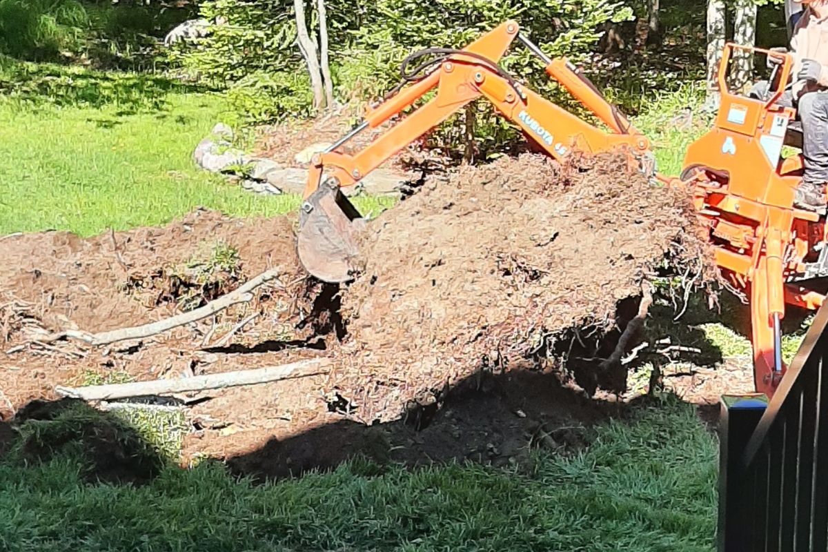 Excavation pour enlever une grosse souche d'arbre