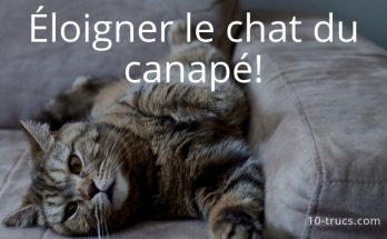 répulsif chat pour protéger le canapé
