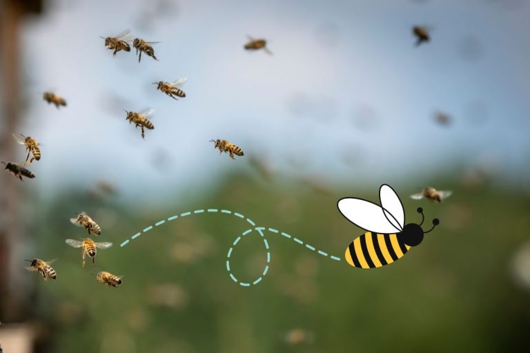 Comment éloigner les abeilles ? 10 remèdes de grand-mère