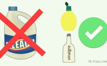 Par quoi remplacer l'eau de javel à la maison