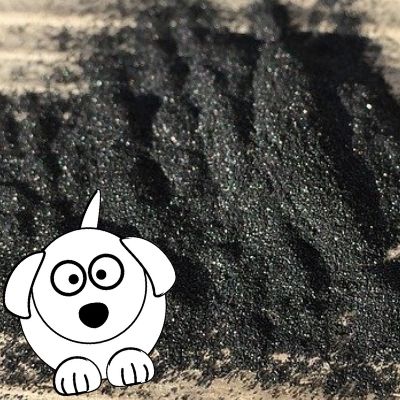 Le charbon végétal contre la mauvaise haleine et problème de digestion chez le chien