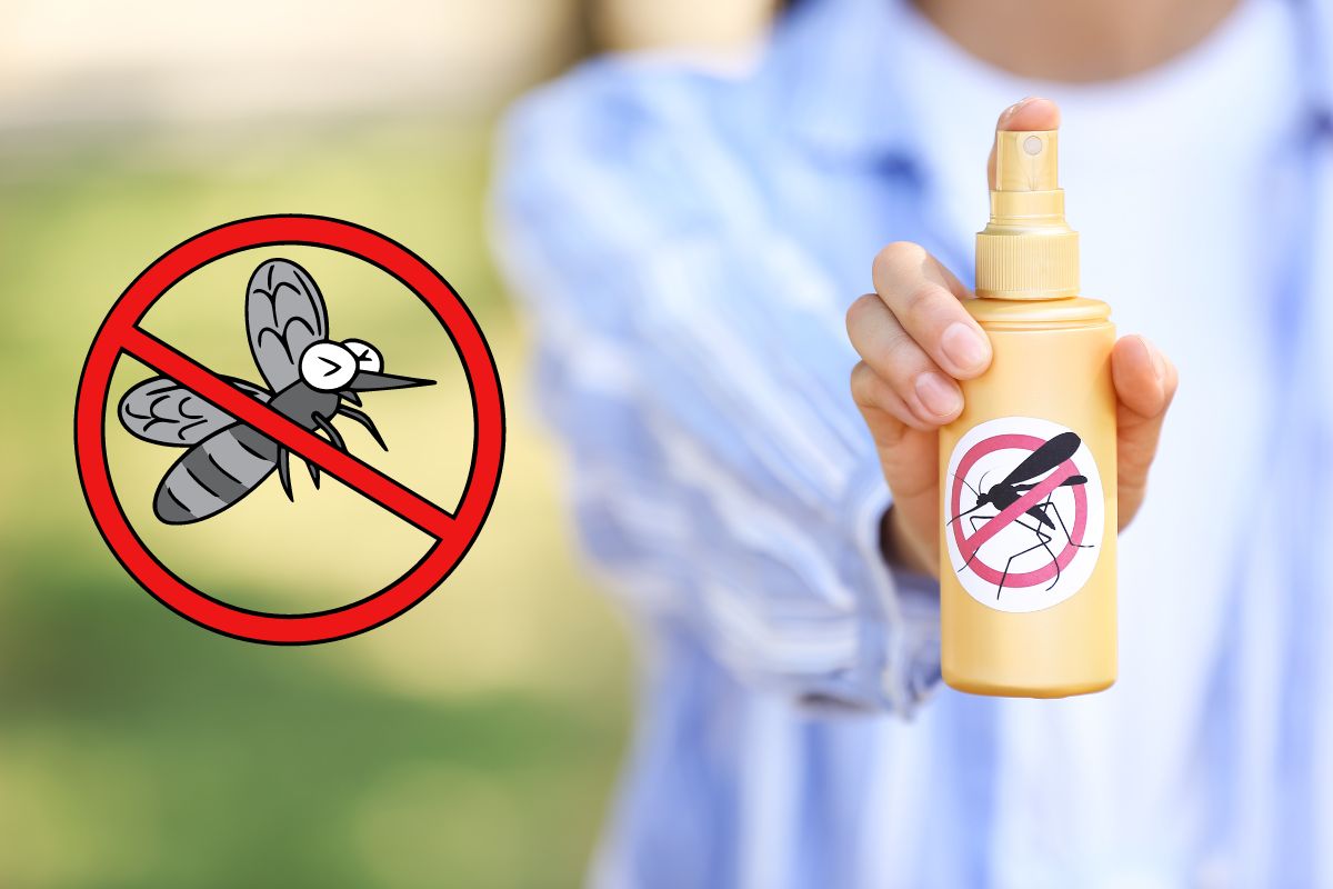 Fabriquer son spray anti-moustique maison
