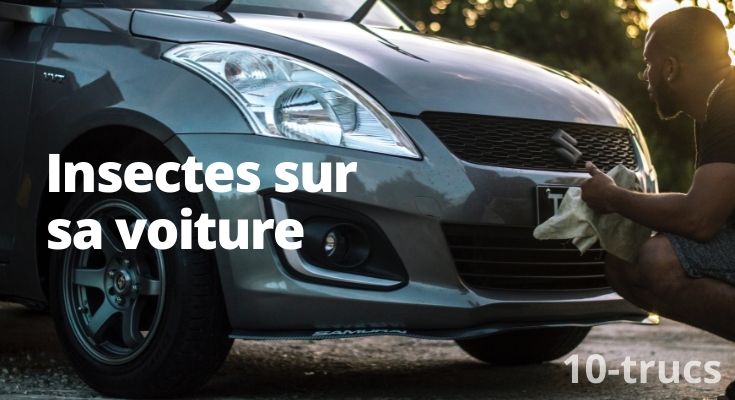 Comment enlever les insectes sur sa voiture?