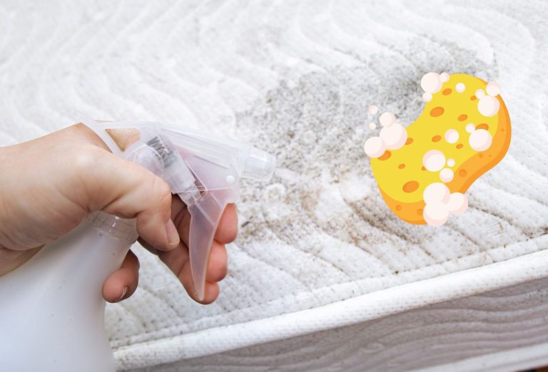 Remède de grand-mère pour enlever moisissure sur un matelas