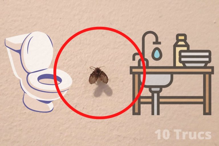 Comment enlever de la bougie sur une nappe?