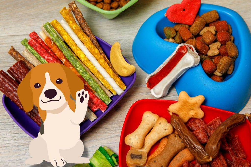 Recettes de biscuits et friandises pour chien faits maison et faciles