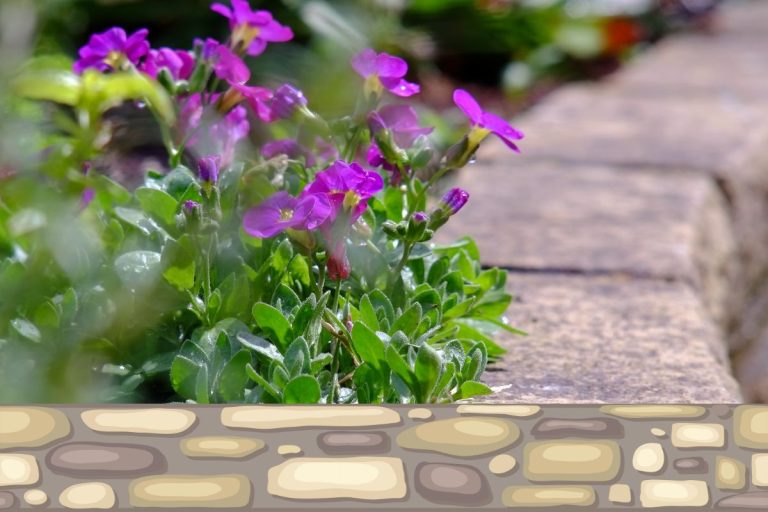 Idée pour fabriquer des bordures de jardin soi-même