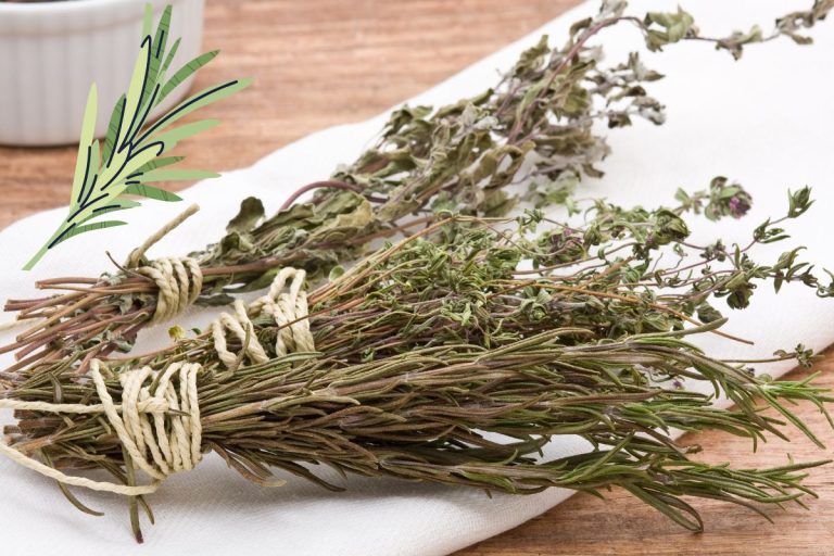 Truc et astuce pour faire sécher les fines herbes