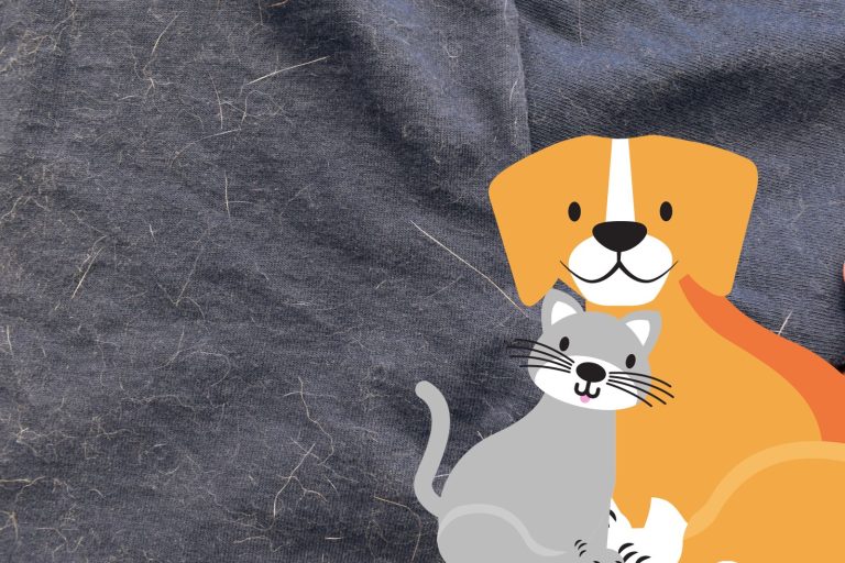 Astuces pour enlever les poils d'animaux sur les vêtements