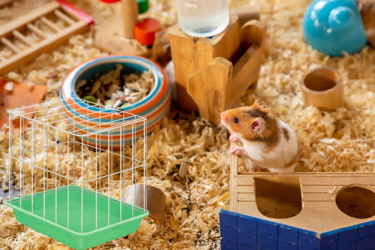 Trucs et astuces pour nettoyer la cage de son hamster