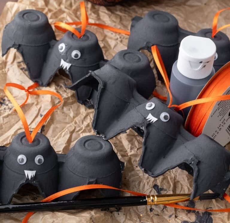 Fabriquer une chauve-souris avec une boite d'œuf