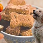 Recette de biscuit pour chien à la pomme et à la citrouille