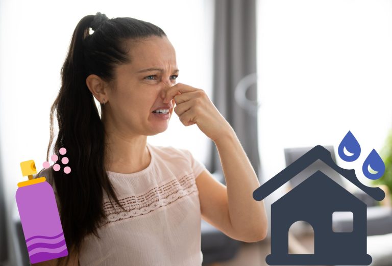 Astuce de grand-mère pour enlever l'odeur d'humidité dans une maison