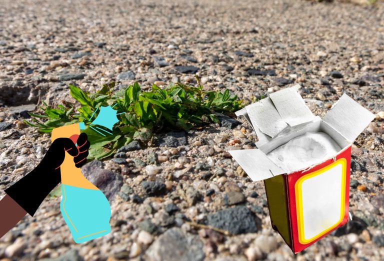 Le truc du bicarbonate de soude contre les mauvaises herbes