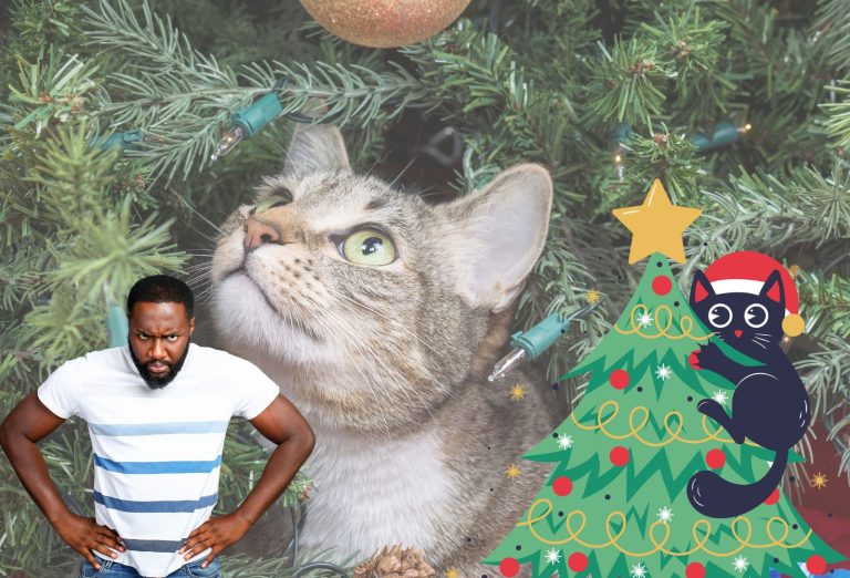 Truc pour empêcher son chat de sauter dans le sapin de Noël